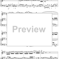 Flute Sonata No. 3, Movement 1