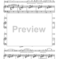 Song to the Evening Star from the Opera Tannhäuser