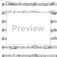 Largo in d minor - Flute