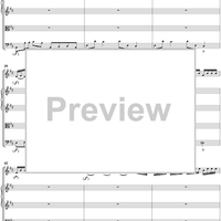 Violin Concerto in D Major, Movt. 1  Op. 7 No. 12   RV214 - Score