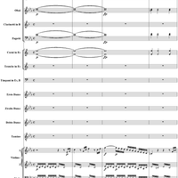 "Zu Hülfe! zu Hülfe! sonst bin ich verloren!", No. 1 from  "Die Zauberflöte", Act 1 (K620) - Full Score