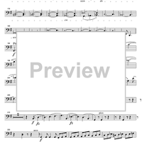 String Quintet G Major - Cello