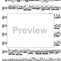 The Accomplished Clarinettist Vol. 2 - Clarinet