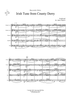 Irish Tune From County Derry - Score