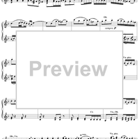 Brandenburg Concerto No. 1 in F Major, BWV1046