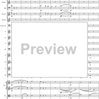 Mass in C Major, No. 6: Agnus Dei - Full Score
