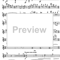 Godalni Quartet - Violin 1