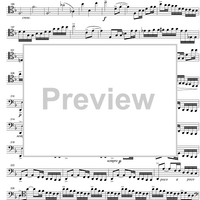 Sonata No. 1 d minor Op.109 - Cello