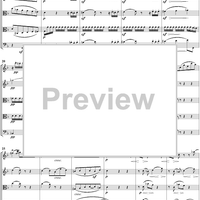 String Quintet in C Major op. 29 ("Storm") - Full Score