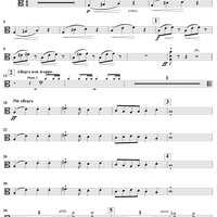 Le carnaval des animaux - Viola