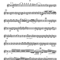 Concerto in Sol - Flute