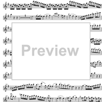 Concerto No. 1 G Major KV313 - Flute