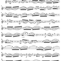 "Zum reinen Wasser er mich weist", Aria, No. 2 from Cantata No. 112: "Der Herr ist mein getreuer Hirt" - Oboe d'amore