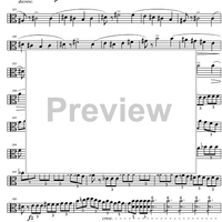 String Quintet C Major D956 - Viola