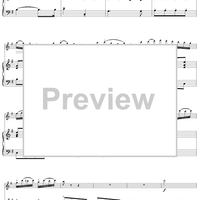 Flute Concerto in G Major, Allegro vivace - Piano