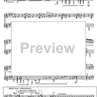 Miosotidi di Dodò Op.26 No. 1