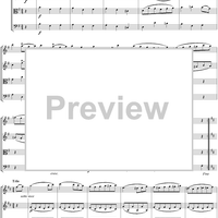 Eine kleine Nachtmusik - Score