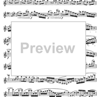 The Accomplished Clarinettist Vol. 2 - Clarinet