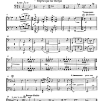 Am Wege zum Licht - Cello