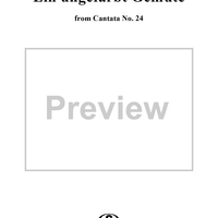 "Ein ungefärbt Gemüte", Aria, No. 1 from Cantata No. 24: "Ein ungefärbt Gemüte" - Violin