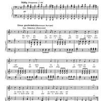 Der Tod und das Mädchen D531