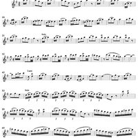 Flute Concerto in G Major, Op. 10, No. 4 - Flute
