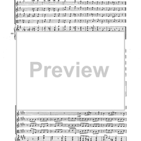 Double Concerto for Recorder and Flute in E minor - Score