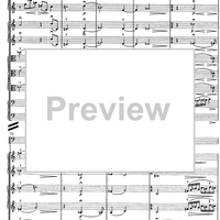 Contrabbasso concertante - Score