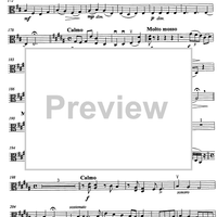 Carmen pro carmine - aria con variazioni - Viola