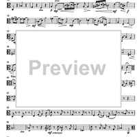 Jubilee Concerto for Celeia - Viola