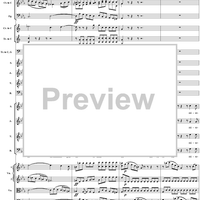 Mass in C Major, No. 6: Agnus Dei - Full Score