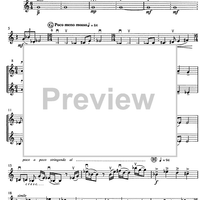 Contrabbasso concertante - Violin 2