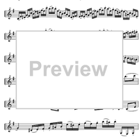 Capriccio No.14 e minor