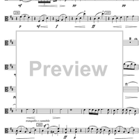 Sonata d minor - Viola