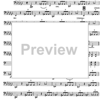 Variazioni su un tema di Prokofiev - Cello