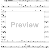 Le carnaval des animaux - Bass