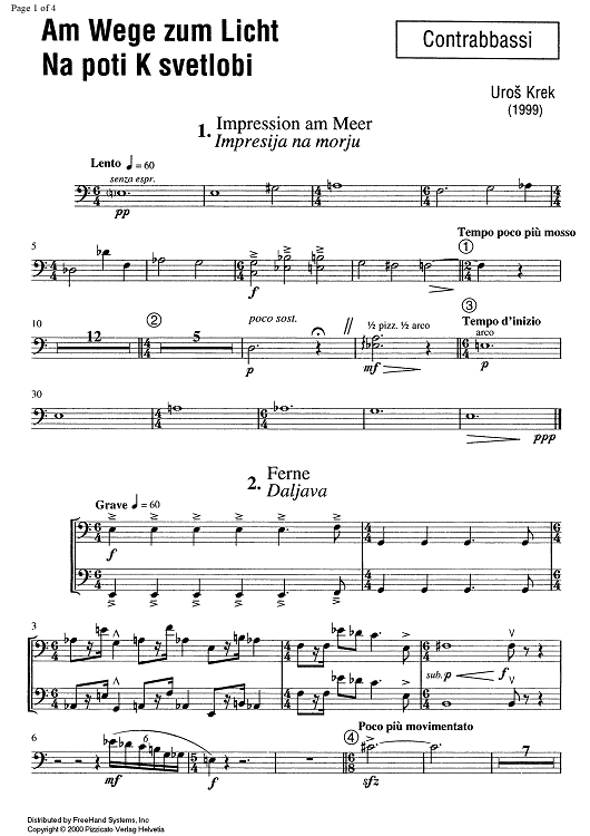 Am Wege zum Licht - Double Bass