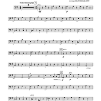 I Got Plenty o' Nuttin' - String Bass