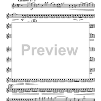 Hebrew Slaves Chorus - from "Nabucco" - Flute