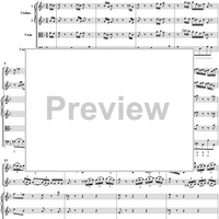Double Violin Concerto - Score
