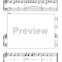 Hawaiian Roller Coaster Ride