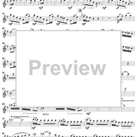 Flute Concerto in G Major - Flute