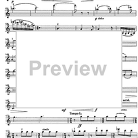 Godalni Quartet - Violin 1