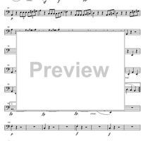 String Quintet C Major Op.29 - Cello