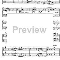 Am Wege zum Licht - Viola