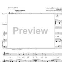 Sommerabend Op.84 No. 1