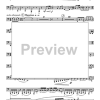 Two Movements for Solo Tuba - Tuba