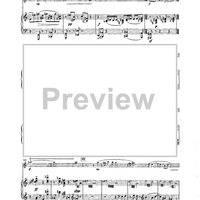 Phoenix Concerto - Piano Score