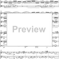 String Quartet In G minor, Movt. 1