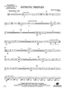 Hypnotic Fireflies - Percussion 2